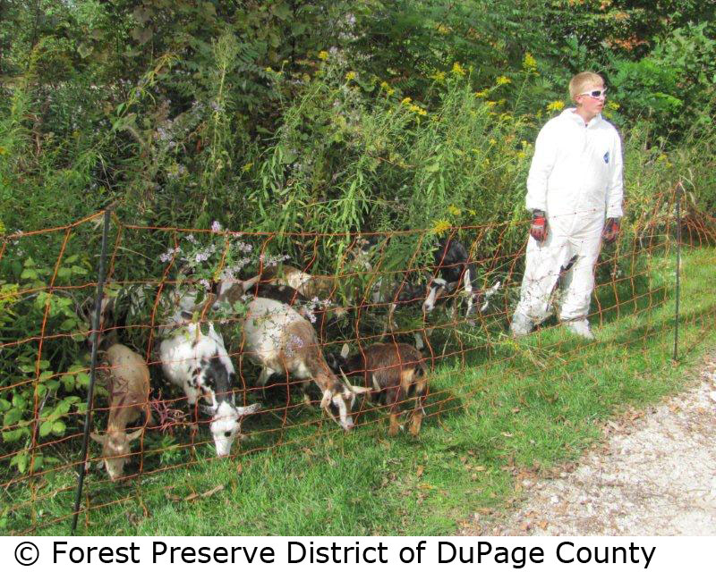 © Forest Preserve District of DuPage County